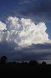 cumulonimbus_calvus