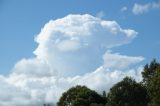 cumulonimbus_calvus