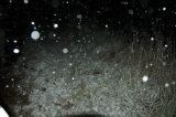 snow_pictures