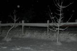 snow_pictures