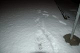 snow_pictures