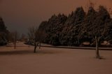 snow_pictures