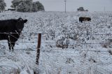 Purchase a poster or print of this weather photo