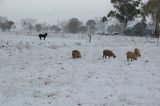 Purchase a poster or print of this weather photo