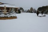 snow_pictures