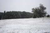 snow_pictures