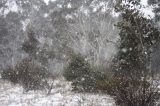 Australian Severe Weather Picture