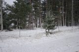 snow_pictures