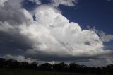 cumulonimbus_calvus