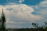 cumulonimbus_incus