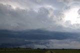 shelf_cloud