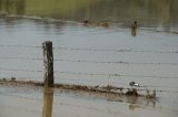 Purchase a poster or print of this weather photo