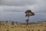 Purchase a poster or print of this weather photo