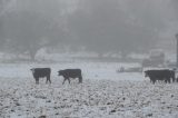 Purchase a poster or print of this weather photo