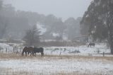 Purchase a poster or print of this weather photo