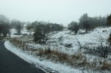 Australian Severe Weather Picture