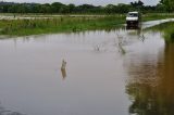 4th October 2010 Lismore flood pictures