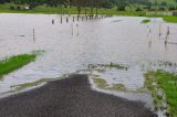 28th December 2010 Lismore flood pictures