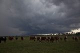 Australian Severe Weather Picture