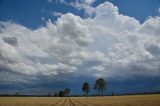 Australian Severe Weather Picture