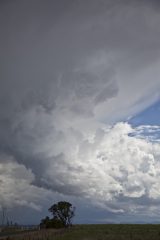 Australian Severe Weather Picture