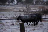 Australian Severe Weather Picture