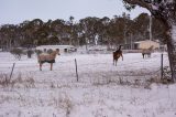 Australian Severe Weather Picture