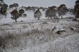 Australian Severe Weather Picture