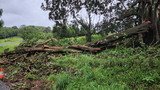 Australian Severe Weather Picture