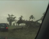 Supercells and Microburst South West Slopes - NSW : November 21 2003